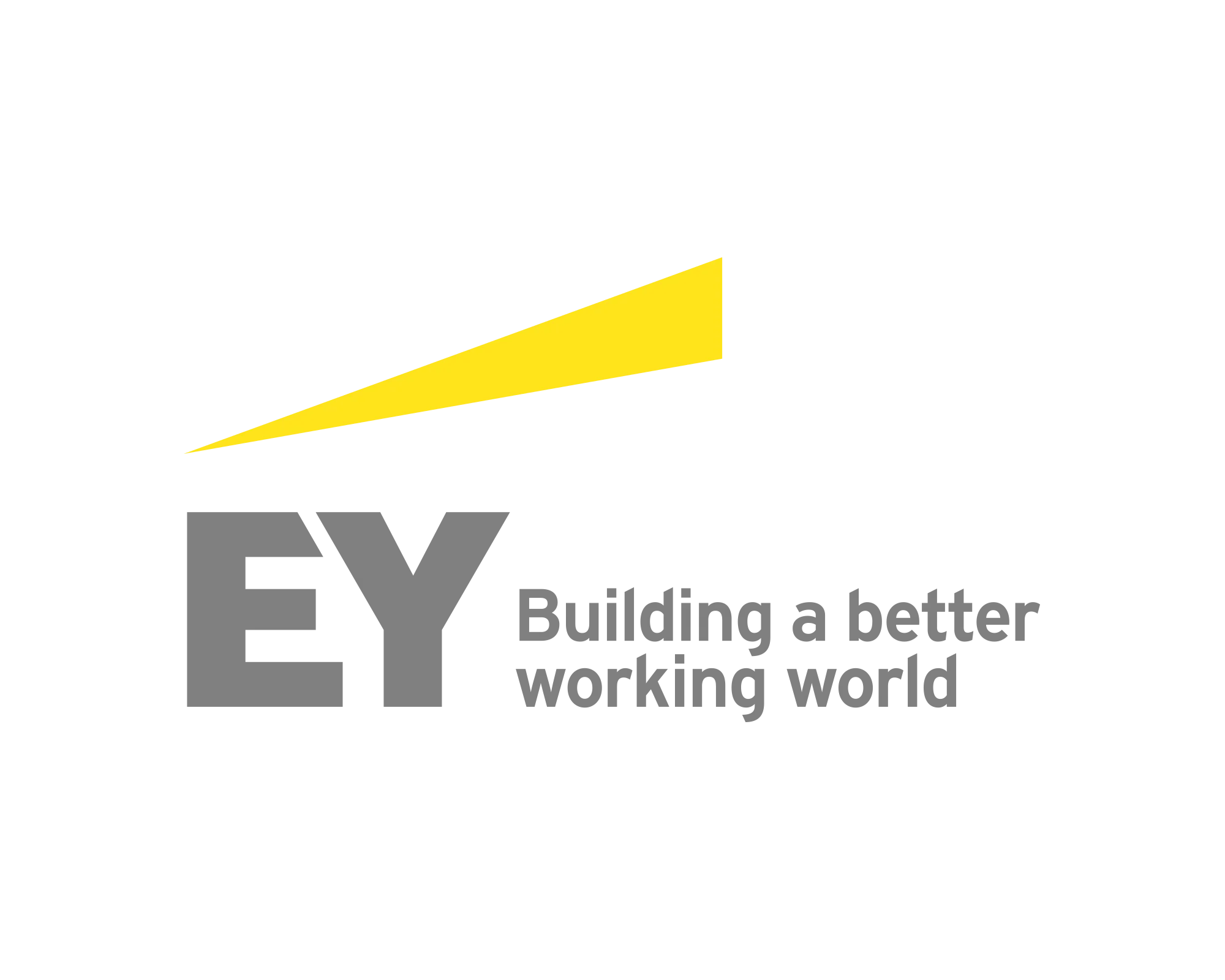 ERNST & YOUNG