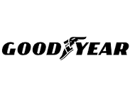 GOODYEAR LASTİKLERİ T.A.Ş.